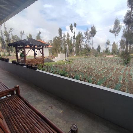 Elen Homestay By Abm Bromo Eksteriør bilde