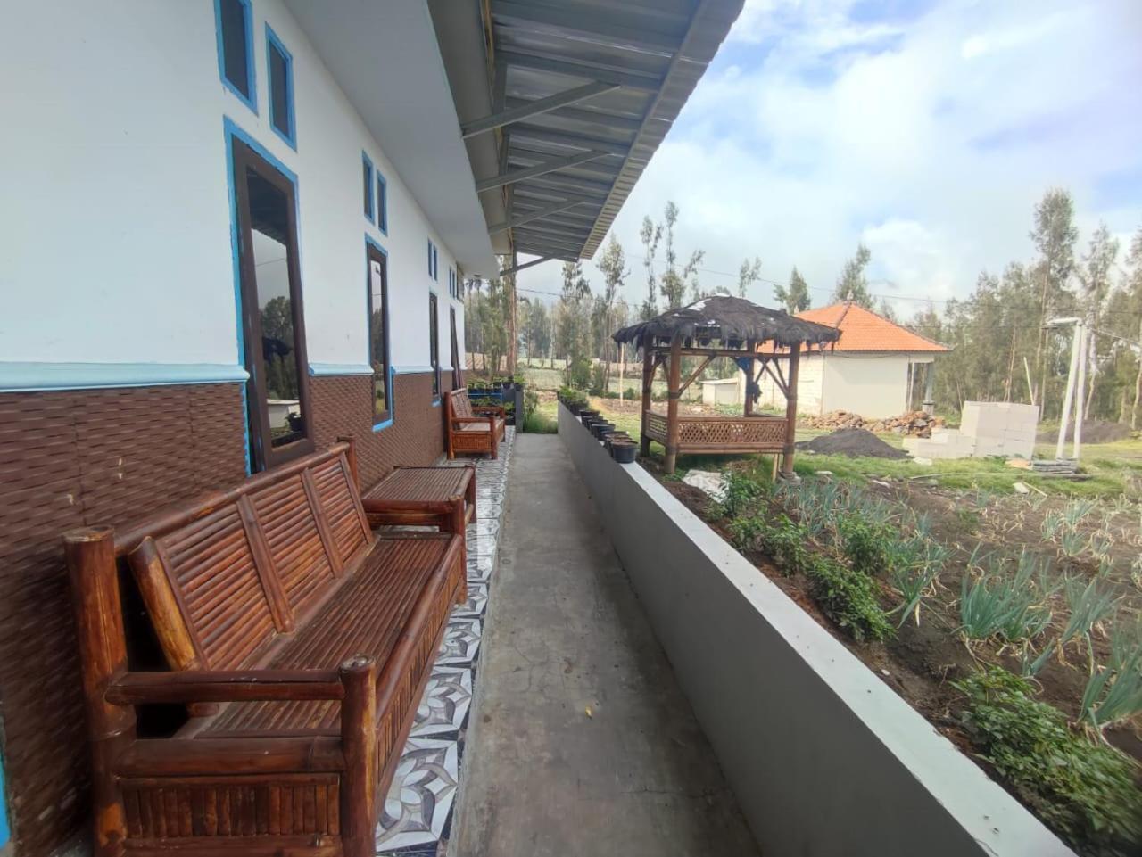 Elen Homestay By Abm Bromo Eksteriør bilde